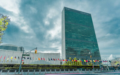 New UN report calls for UBI