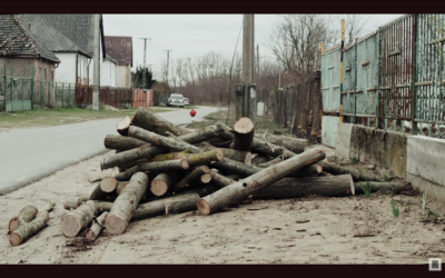 Dependency Is the System: What Hungary Teaches Us About Basic Income and Democracy