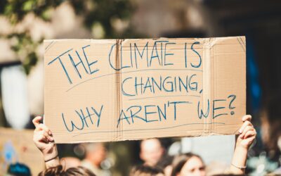 Basic Income and Climate Costs