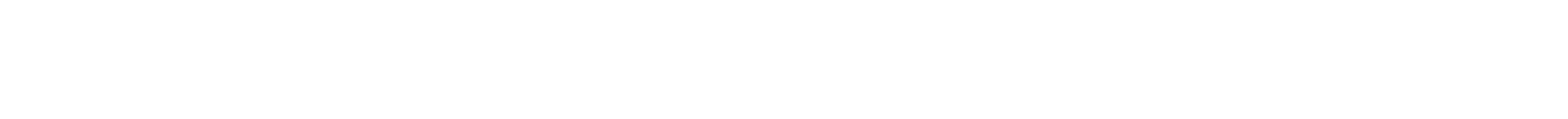 BIEN — Basic Income Earth Network